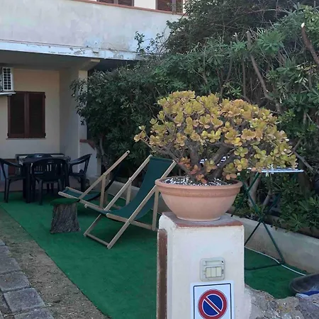 Corallo A Few Steps From The Sea Iun P7459 *