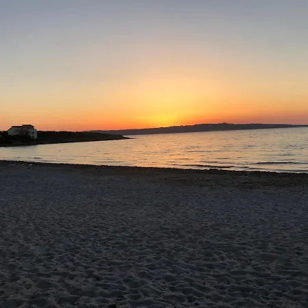 Corallo A Few Steps From The Sea Iun P7459