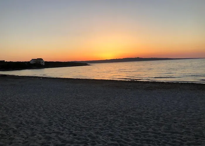 Corallo A Few Steps From The Sea Iun P7459