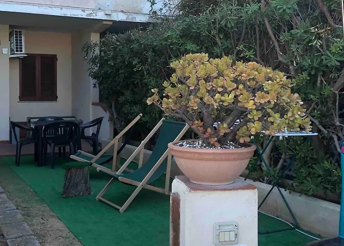 Corallo A Few Steps From The Sea Iun P7459 *