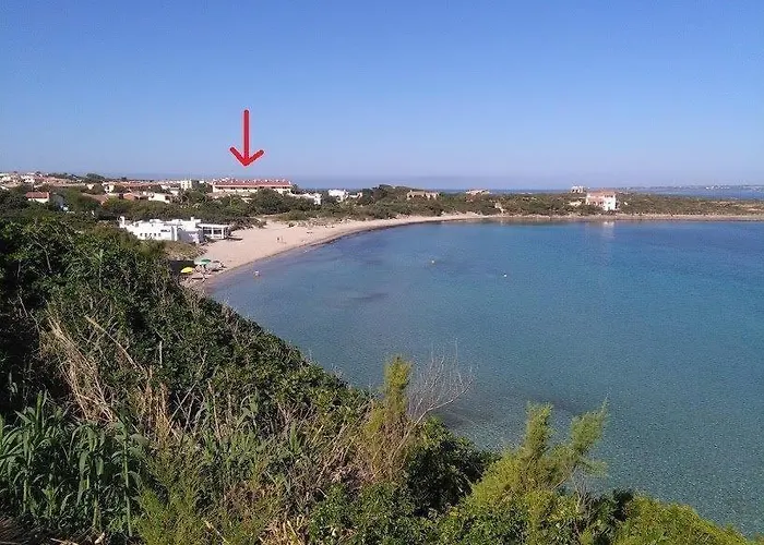 Corallo A Few Steps From The Sea Iun P7459 Calasetta